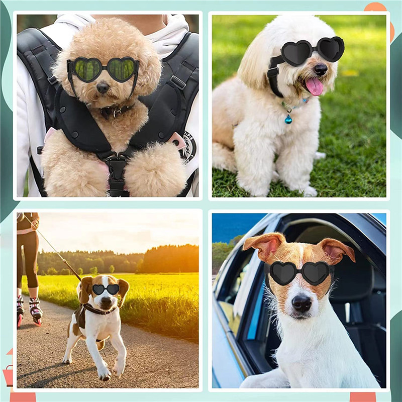 1 PC Occhiali da sole per cani - Sunglass Retainer Cord recensione e prezzo